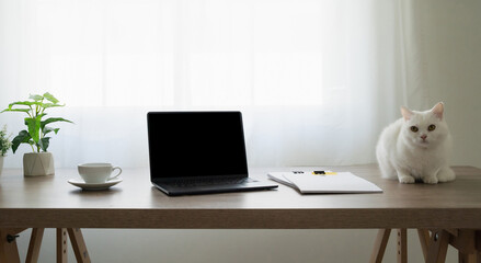 Naklejka premium Remote work home office with white cat sitting beside laptop, coffee cup, notebook and plant on wooden desk, minimal workspace, freelance productivity, business environment with natural indoor light