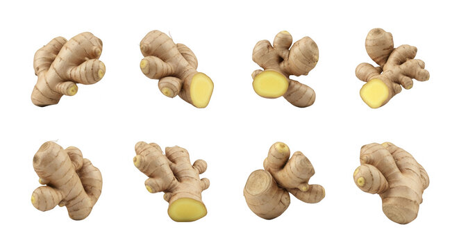 ginger rhizomes display isolated on white backdrop fresh root variations for culinary and medicinal uses