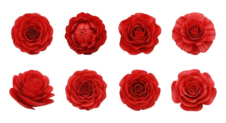 Obraz premium eight vibrant red rose flower heads displayed on a white background floral design or valentines day