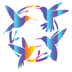 Colorful Gradient Hummingbird Silhouette Circle Floral Vector on White Background. © Md