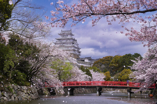 姫路城 Images – Browse 6,380 Stock Photos, Vectors, and Video