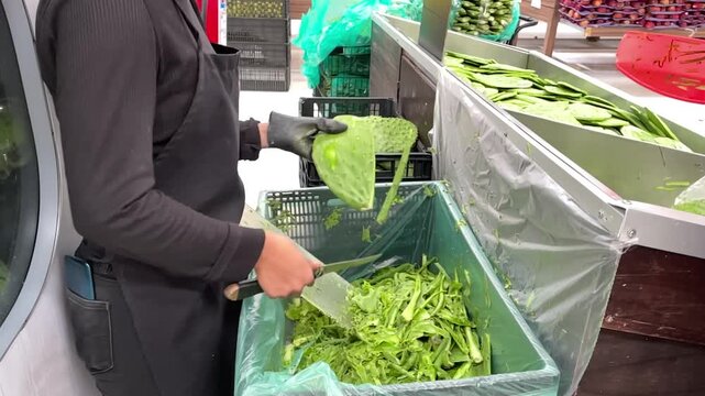 Woman peels green prickly pear cactus leaves with knife over large bin in a busy market close up