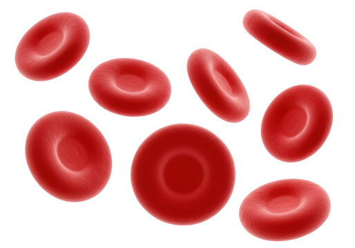 A group of vibrant red blood cells with biconcave shapes floating in a minimalist gray clinical void with macro lighting scientific medical visualization