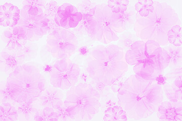 Delikatne różowe kwiaty w stylu ilustracji – pastelowe tło botaniczne © Elżbieta Kaps