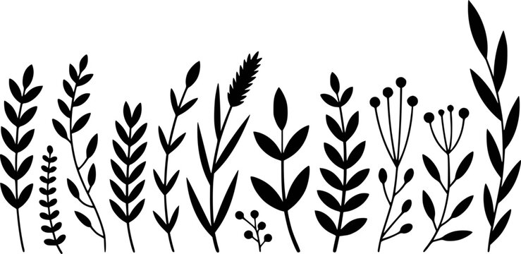 Black Silhouette Botanical and Leaves White Background