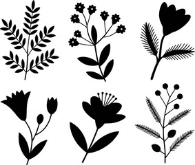 Fototapeta premium Black Silhouette Botanical Including Flowers Leaves and Berries White Background