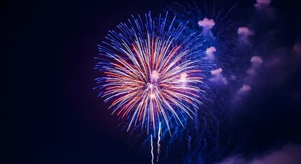 Fototapeta premium Independence day fireworks display celebrating freedom with patriotic explosions of color and light on a summer evening