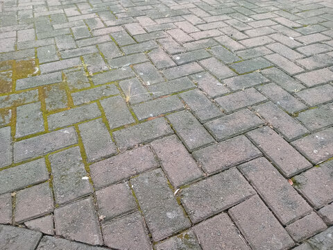 Close up of gray brick pavement in herringbone pattern with moss in joints, outdoor walkway texture background