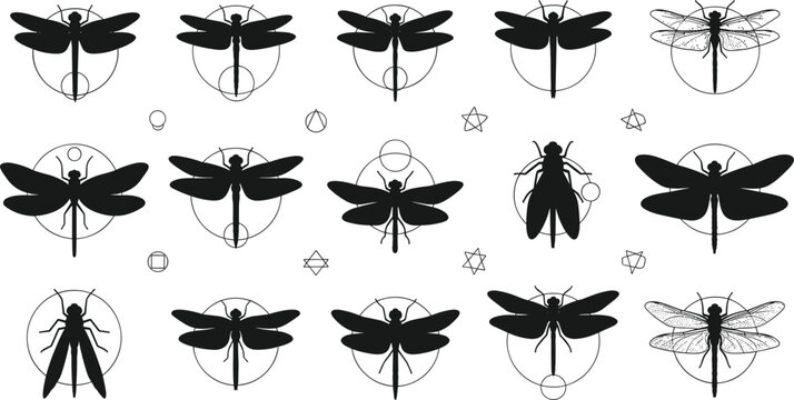 Dragonfly Insect Symbol Silhouette Set with Geometric Shapes Decorative Wings and Minimal Nature Icons for Tattoo Logo and Vector Design Collection