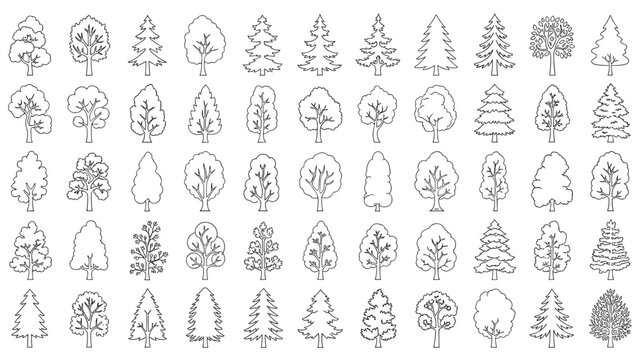 Large collection of various tree species outlines in a simple minimalist style arranged in a neat grid pattern.