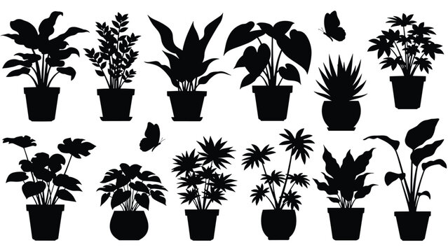 Collection of various houseplant silhouettes in simple pots accompanied by small butterfly silhouettes for a natural decor theme.