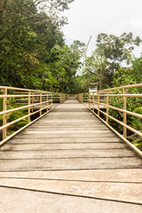 Obraz premium Vertical central view of a tourist route surrounded by vegetation within Manuel Antonio National Park in the Puntarenas Province of Costa Rica