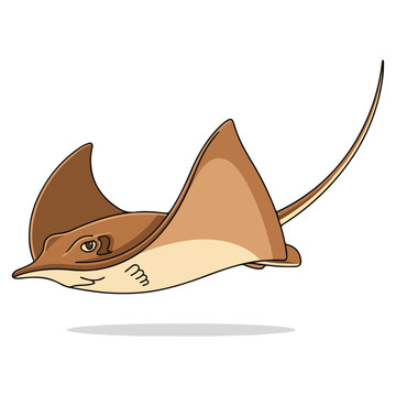 tan cownose ray flat vector cartoon illustration