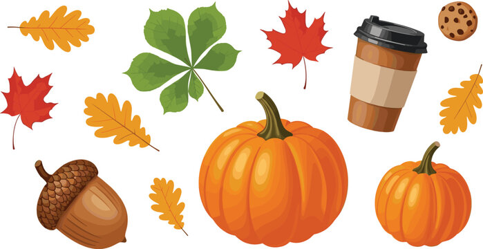 Autumn elements set with pumpkins leaves acorn coffee cup and fall seasonal objects vector illustration collection