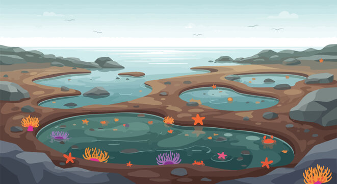 Vibrant cartoon tide pool ecosystem featuring diverse marine life nestled among rugged coastal rocks and sparkling ocean waters under a clear,