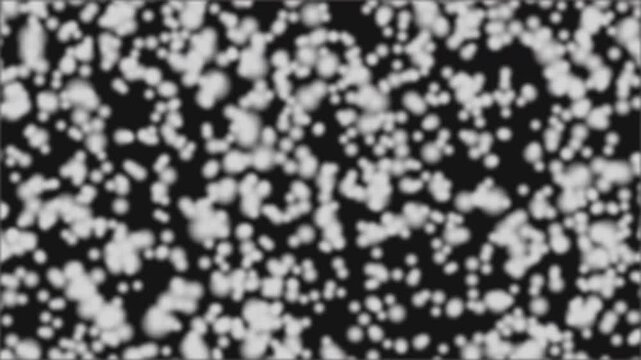 white buble particles
