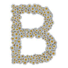 letter B made of white daisy flowers, arial font, isolated on transparent background - design element cut-out graphics object © sam