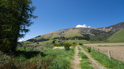 Fototapeta premium Country path through South Island New Zealand hills