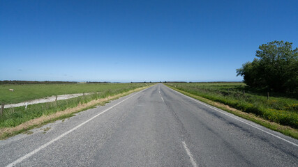 Fototapeta premium Countryside Road in New Zealand
