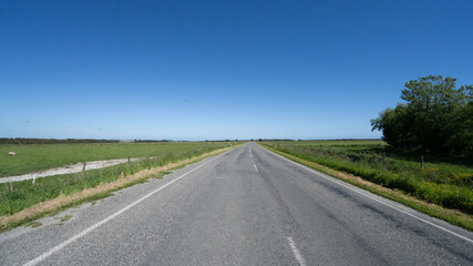 Fototapeta premium Open Road Through Rural Landscape, New Zealand