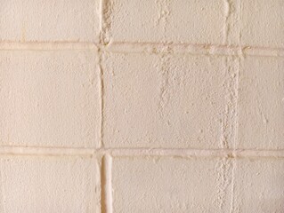 Fototapeta premium Textured painted concrete block wall with visible mortar joints and slight surface imperfections under soft lighting.