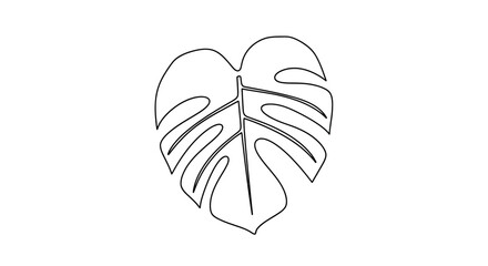 Monstera leaf outline drawing illustration. © Art Sof galery photo
