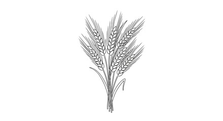 Fototapeta premium Wheat ears agriculture farm crop.