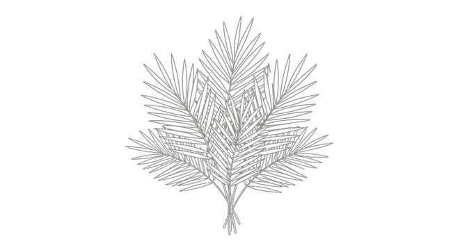 Detailed illustration of a pine branch.
