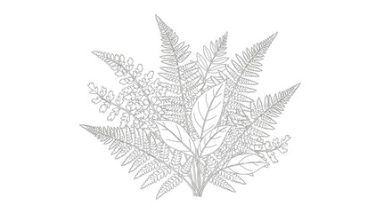 Detailed illustration of fern leaves. © Art Sof galery photo