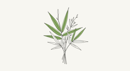Fototapeta premium Bunch of green bamboo leaves plant.