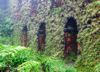 Muro das Nove Janelas. This historic stone aqueduct is located on Sao Miguel Island. Lush moss and...