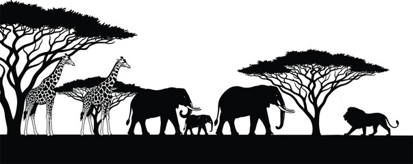 African Safari Silhouette Vector with Giraffes Elephants and Lion Standing Under Acacia Trees in Savanna Sunset Landscape for Wild Animal Nature Conservation Design © MdHasanAli