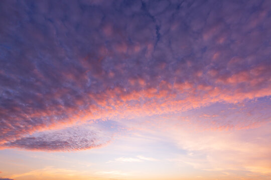 Beautiful Dramatic Sunset Sky with Purple and Orange Altocumulus Clouds,Stunning low angle view of a twilight sky filled with colorful altocumulus cloud formations. The vibrant shades of purple, pink,