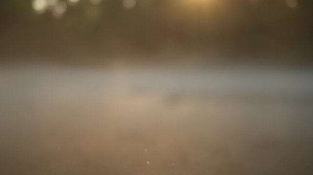 Misty landscape tranquil scene of fog and water at sunrise or sunset