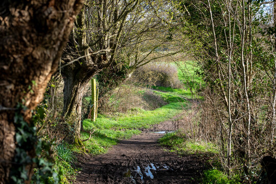 Chemin boueux de campagne
