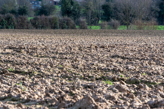Champ agricol labour&eacute; en gros plan