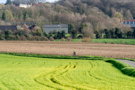 Cycliste sur une route de campagne au pied du mont des Cats dans les Flandres