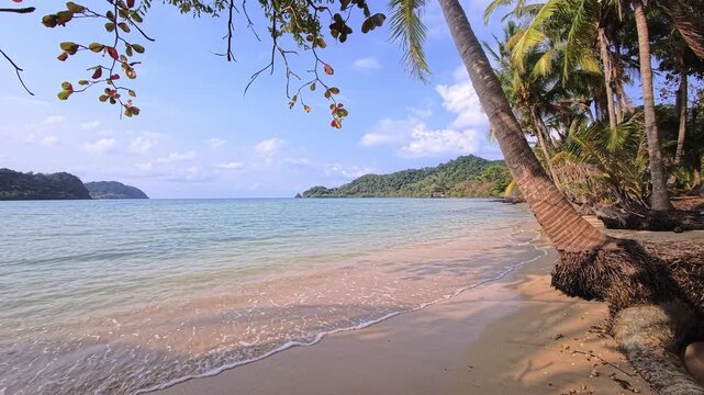 Tropical sandy beach with leaning coconut palm and distant islands