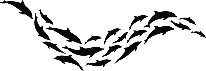 Obraz premium School of dolphins swimming together in formation, black silhouettes on white background