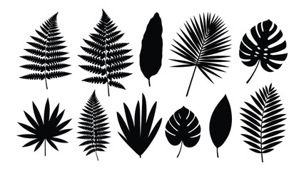 Collection of tropical leaf silhouettes © SILHUETTECHEMBER