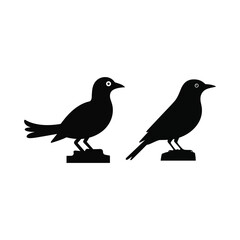 Obraz premium Two black bird silhouettes on white background, graphic design, simple vector art, graphic resource, copy space