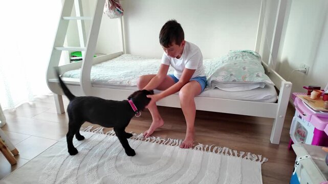 Young boy petting his cute black Labrador puppy in a cozy sunlit bedroom. Concept of childhood friendship, pet care, and family life.