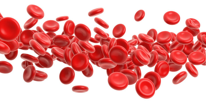 A detailed close up rendering of numerous red blood cells flowing through the human circulatory system Vector
