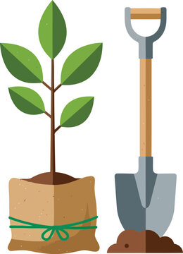 Tree Sapling in Burlap Sack and Garden Shovel for Planting and Reforestation Projects