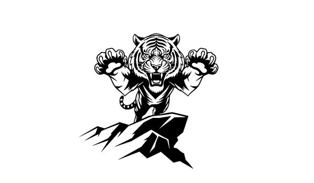 Fierce tiger jumping forward vector illustration with front view perspective and strong motion isolated on white