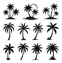 Fototapeta premium Palm Tree Silhouette Vector Illustration