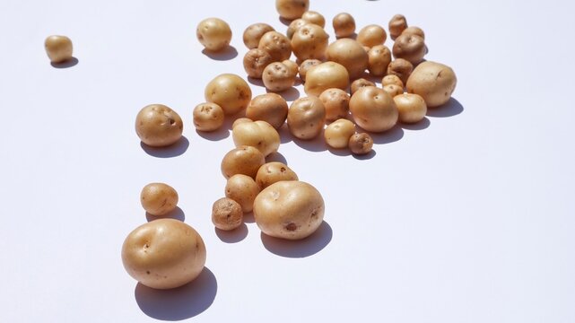 Fresh Home grown tiny potatoes. Mini potato on white background. chote dum aloo