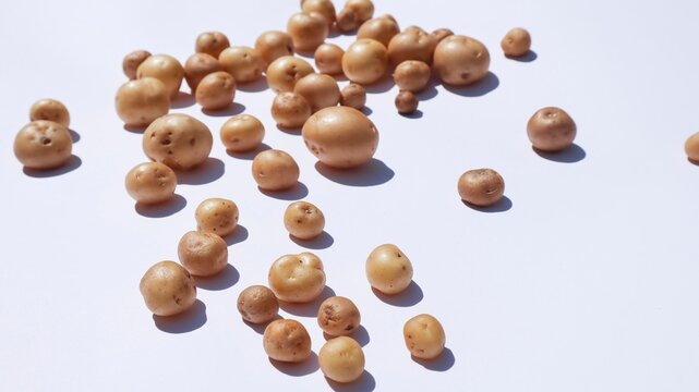 Fresh Home grown tiny potatoes. Mini potato on white background. chote dum aloo