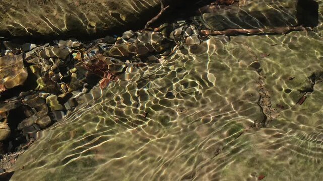 Transparent water of a mountain stream. Play of the sun glare. perfect for endless playback, meditation, and nature ambience.