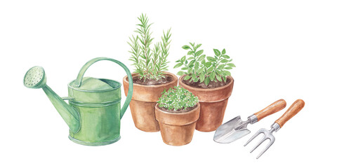 Watercolor Illustration of Potted Herbs and Gardening Tools © ritaklimenko